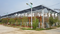 东莞生态餐厅设计建造