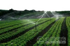 河津水肥一体化专业技术公司